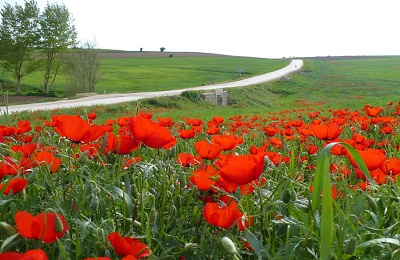 رزق الهي چيست و كمترين مرتبه شكر آن چگونه است؟