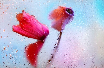 آيا زن زناكار عده دارد